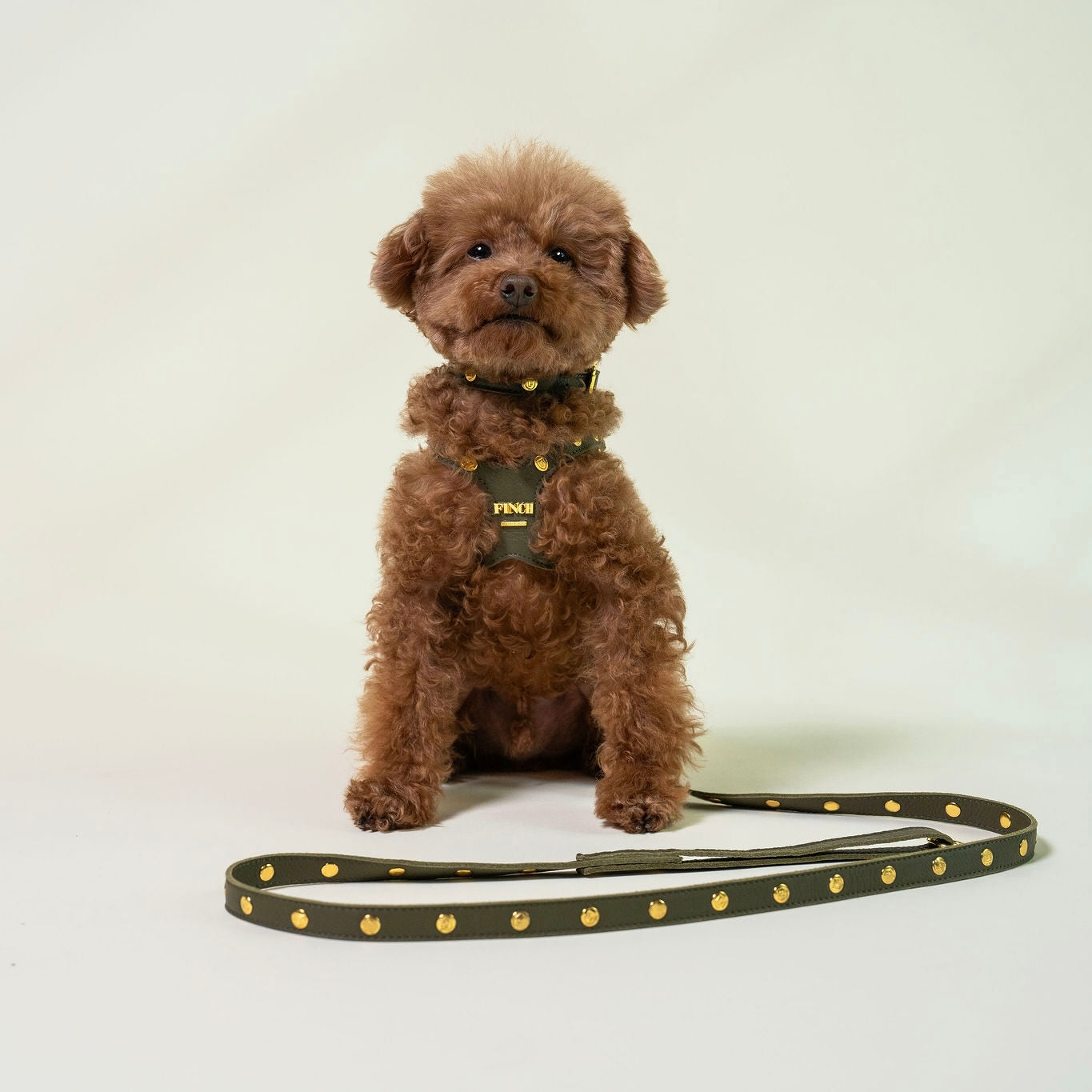 Beverly Olive Studded Pet Harness