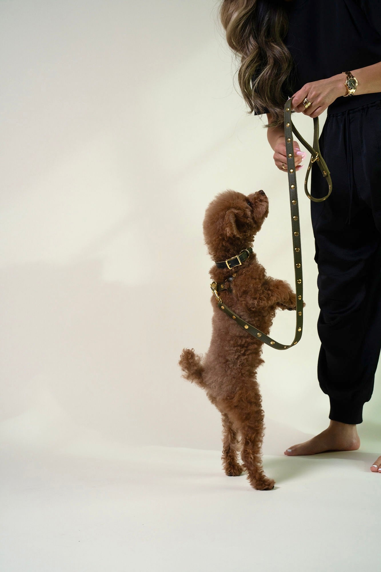 Beverly Olive Classic Pet Leash