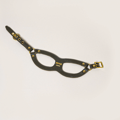 Rodeo Gold Classic Pet Harness