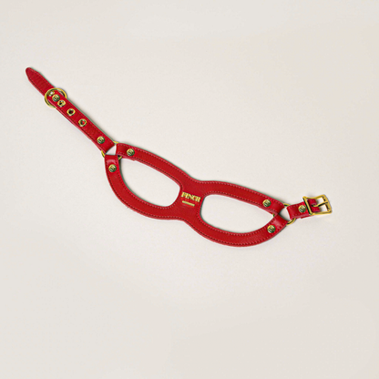 Rodeo Gold Classic Pet Harness