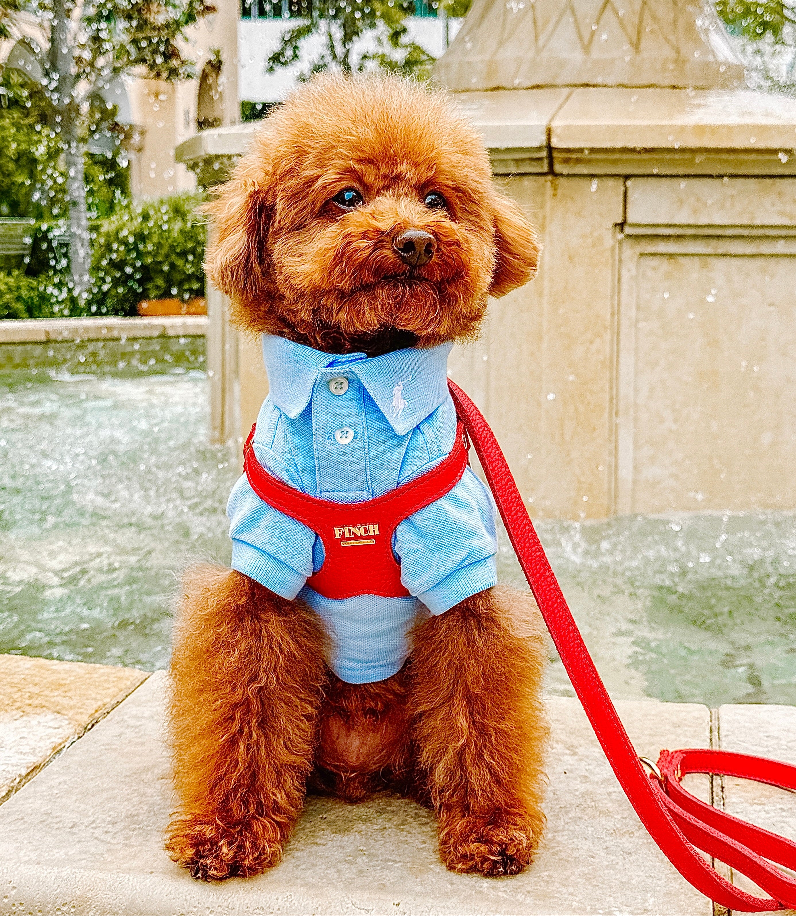 Roxbury Red Classic Pet Harness