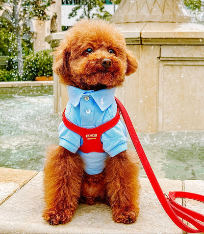 Roxbury Red Classic Pet Harness